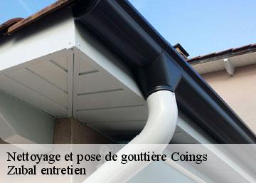 Nettoyage et pose de gouttière coings-36130 Zubal entretien