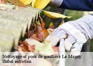 Nettoyage et pose de gouttière 36400