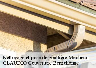 Nettoyage et pose de gouttière 36500