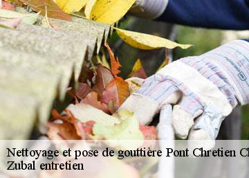 Nettoyage et pose de gouttière 36800