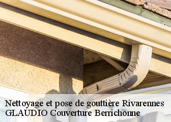 Nettoyage et pose de gouttière 36800