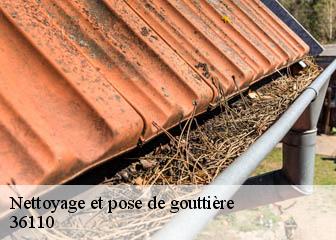 Nettoyage et pose de gouttière 36110