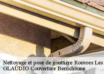 Nettoyage et pose de gouttière 36110