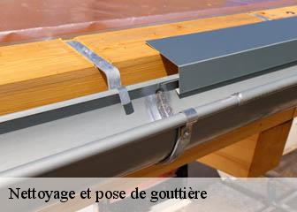 Nettoyage et pose de gouttière 36110