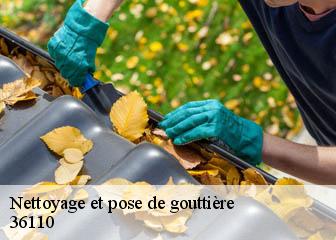 Nettoyage et pose de gouttière 36110
