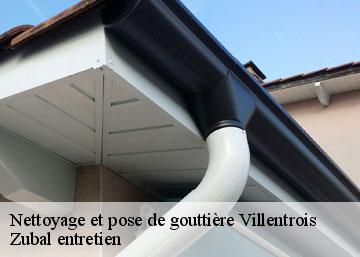 Nettoyage et pose de gouttière villentrois-36600 Zubal entretien