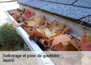 Nettoyage et pose de gouttière 36600