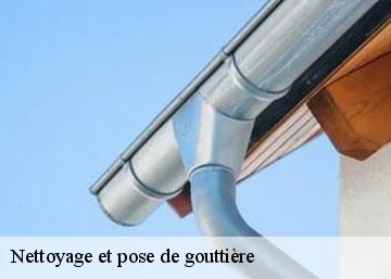 Nettoyage et pose de gouttière