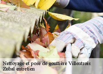 Nettoyage et pose de gouttière 36600
