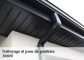 Nettoyage et pose de gouttière