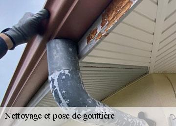 Nettoyage et pose de gouttière 36600