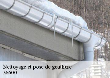 Nettoyage et pose de gouttière 36600