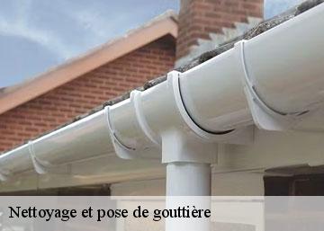 Nettoyage et pose de gouttière